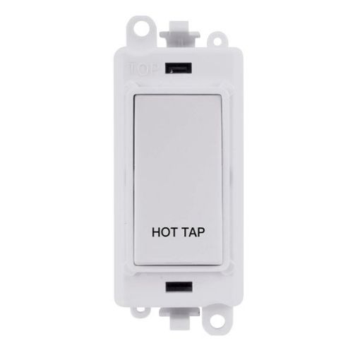 Picture of Click GM2018PW-HT Switched Module Double Pole 20AX