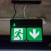 Picture of Ansell AADL-3M-W Adler Exit Sign Maintained / Non-Maintained | White