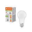 Picture of LEDVANCE GLS WARM WHITE PERFORMANCE CLASS  10.5W Dimmable 2700 K E27