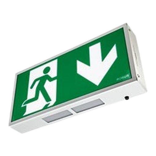 Picture of ROBUS 4W Exit Box, LiFePO4, c/w Down Legend White